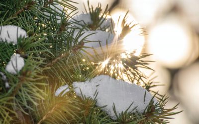 Sunday Worship – Jan. 17