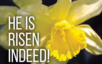 Bulletins – Apr. 4