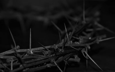 Bulletins – Good Friday