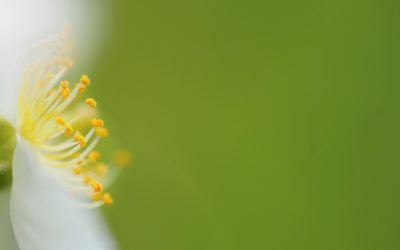 Sunday Worship – Feb. 6