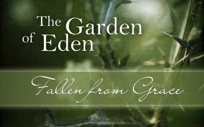 Sunday Worship – Jun. 6