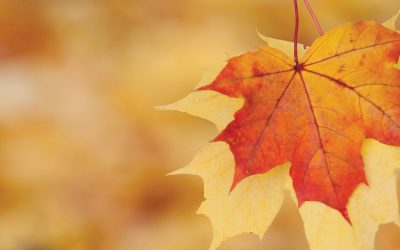Sunday Worship – Nov. 14