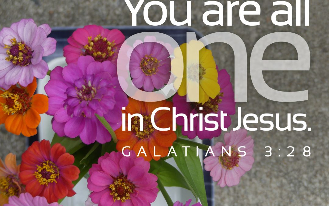 You are all one in Christ Jesus. Galatians 3:28