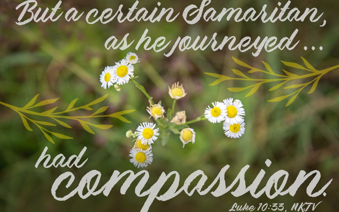 But a certain Samaritan as he journeyed...had compassion.