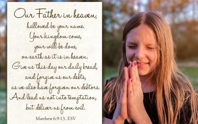 Bulletins – July 24