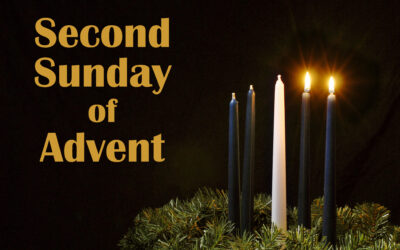 Bulletins – Dec. 4