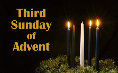 Bulletins – Dec. 11