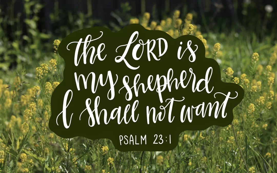 The Lord is my shepherd I shall not want. Psalm 23:1