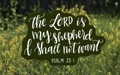Sunday Worship – Apr. 30