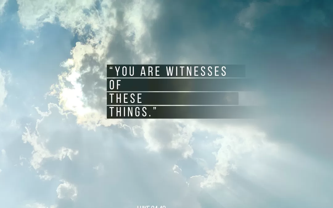 You are witnesses of these things.