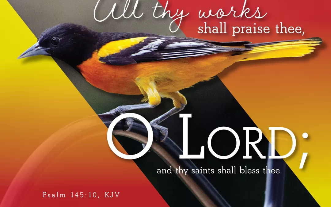 All thy works shall praise thee, O Lord; and thy saints shall bless thee. Psalm 145:10 (KJV)