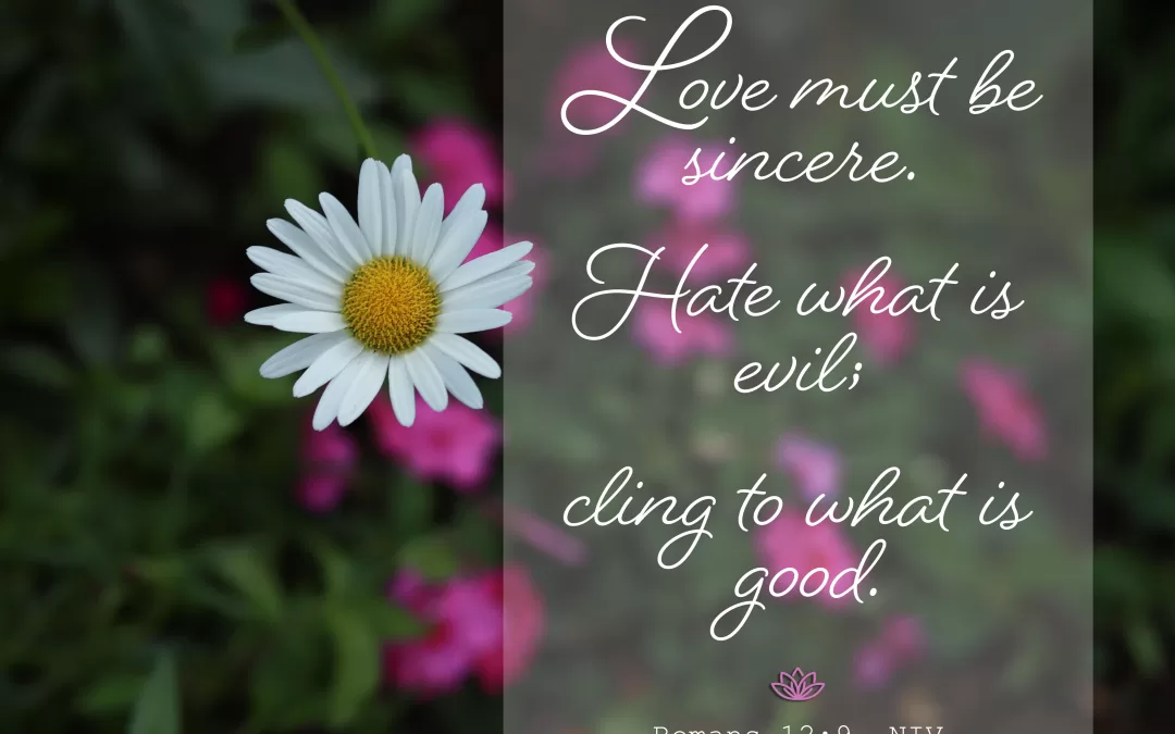 Love must be sincere. Hate what is evil; cling to what is good. Romans 12:9 (NIV)