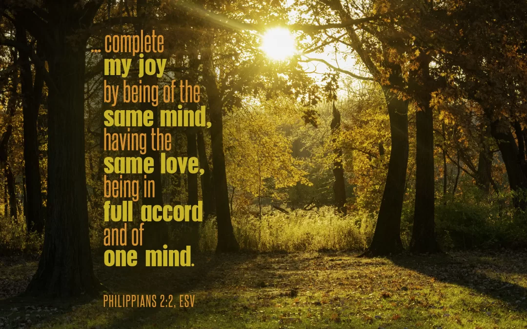 ...complete my joy by being of the same mind, having the same love, being in full accord and of one mind. Philippians 2:2 (ESV)