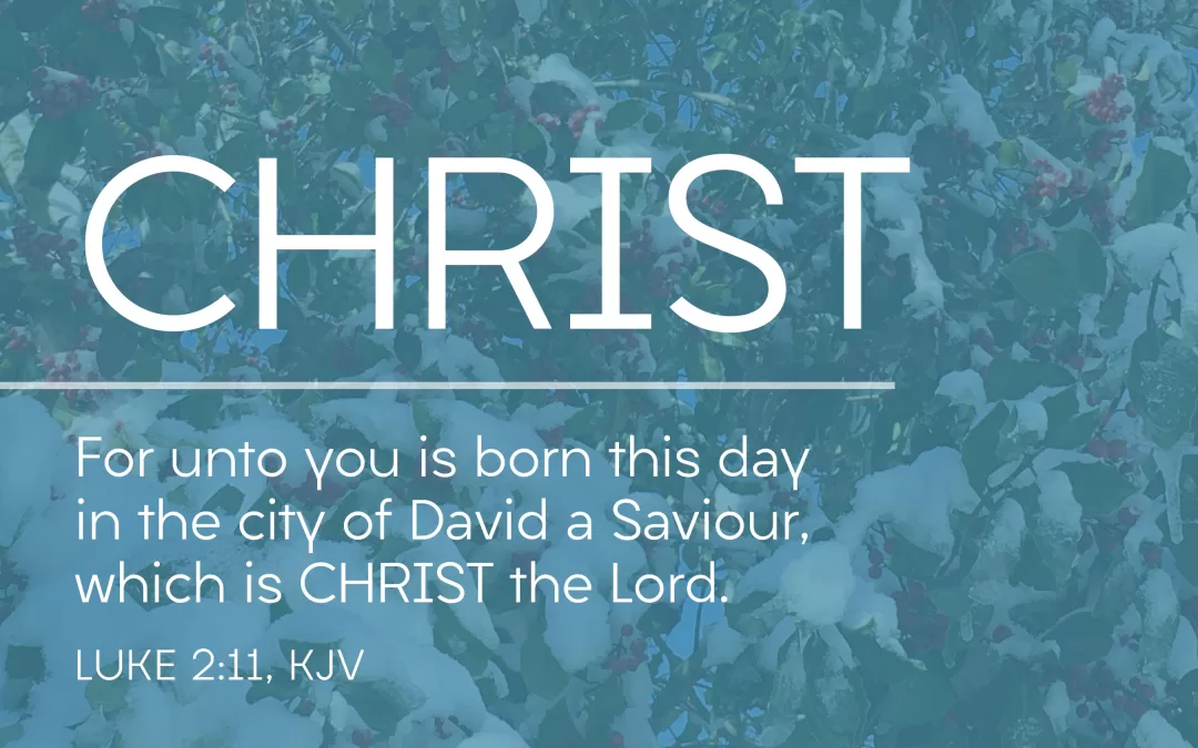 For unto you is born this day, in the city of David, a Savior, which is Christ the Lord. Luke 2:11 (NIV)