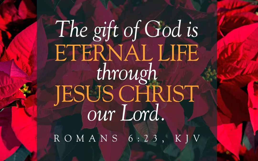 The gift of God is eternal life through Jesus Christ our Lord. Romans 8:23 (KJV)