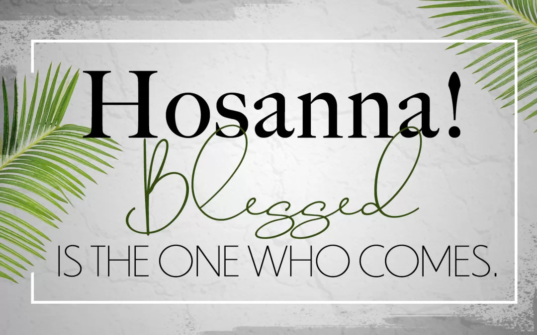 Hosannna Blessed is he who comes.