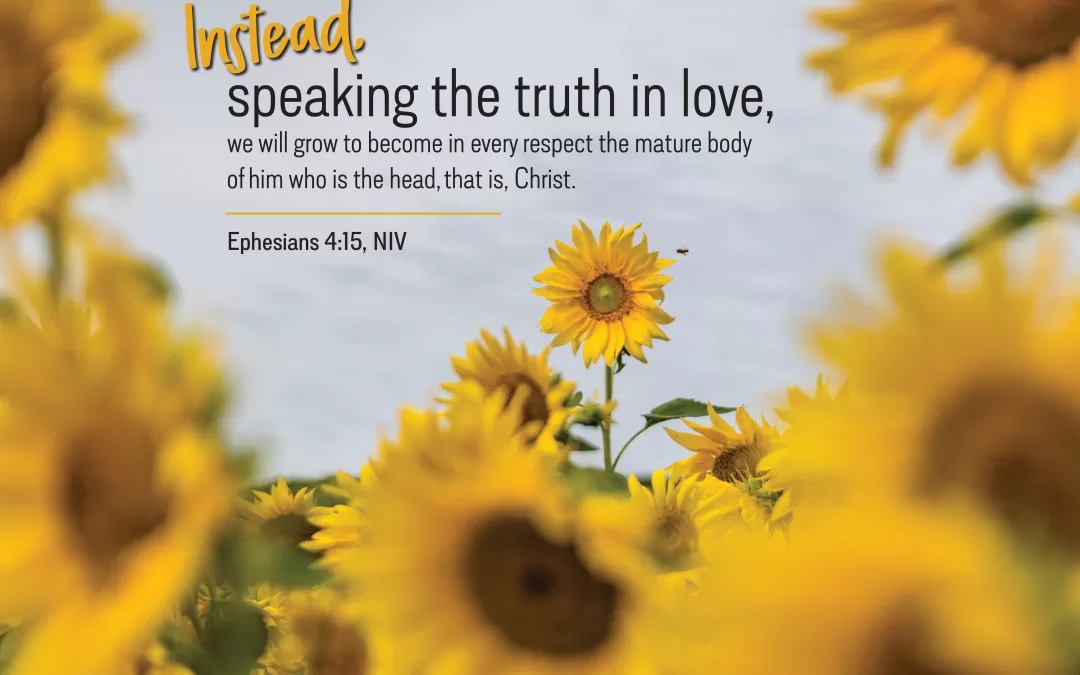 background of sunflowers with Ephesians 4:15, "Instead, speaking the truth in love, we will grow to become in every respect the mature body of him who is the head, that is, Christ."