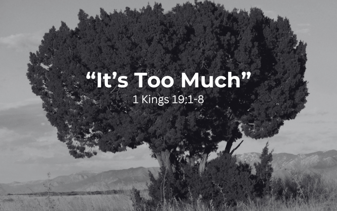 black and white photo of juniper (broom) tree with words "It's Too Much" overlayed.