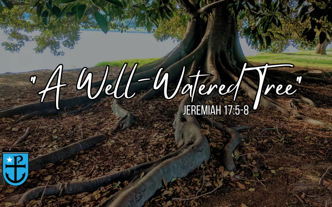 Photo of a tree planted by a river with the text "A Well-Watered Tree", Jeremiah 17:5-8.