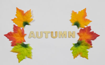 3rd Grade News, 9/25