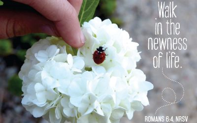 Third Grade Newsletter, 4/16