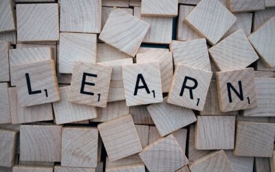 Spelling words for 11/14:   