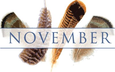 fifth grade newsletter november 13, 2025