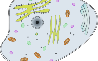 Life Science